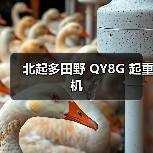 北起多田野 QY8G 起重机(图1) 北起多田野 QY8G 起重机(图1)