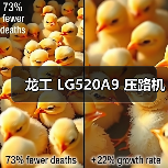 龙工 LG520A9 压路机（图3）