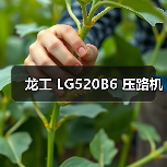 龙工 LG520B6 压路机(图1) 龙工 LG520B6 压路机(图1)