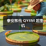 泰安东岳 QY8M 起重机(图2) 泰安东岳 QY8M 起重机(图2)