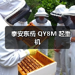 泰安东岳 QY8M 起重机(图1) 泰安东岳 QY8M 起重机(图1)