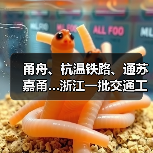甬舟、杭温铁路、通苏嘉甬…浙江一批交通工程进度条刷新(图2) 甬舟、杭温铁路、通苏嘉甬…浙江一批交通工程进度条刷新(图2)