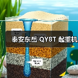 泰安东岳 QY8T 起重机（图1）