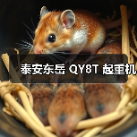 泰安东岳 QY8T 起重机（图4）