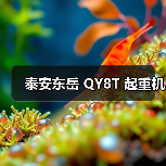 泰安东岳 QY8T 起重机（图3）