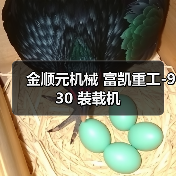 金顺元机械 富凯重工-930 装载机(图1) 金顺元机械 富凯重工-930 装载机(图1)