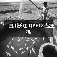 四川长江 QYE12 起重机（图2）