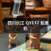 四川长江 QYE12 起重机（图1）