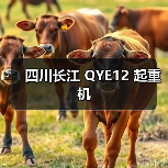 四川长江 QYE12 起重机（图4）