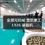 金顺元机械 富凯重工-ZL926 装载机（图4）