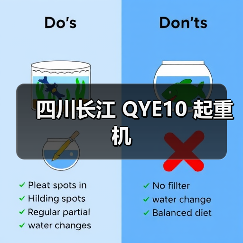 四川长江 QYE10 起重机(图4) 四川长江 QYE10 起重机(图4)