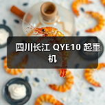 四川长江 QYE10 起重机(图3) 四川长江 QYE10 起重机(图3)