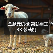 金顺元机械 富凯重工-938 装载机（图1）