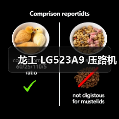 龙工 LG523A9 压路机(图4) 龙工 LG523A9 压路机(图4)