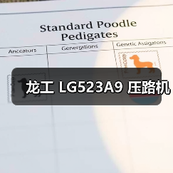 龙工 LG523A9 压路机(图3) 龙工 LG523A9 压路机(图3)