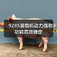 928S装载机动力强劲多功能高效稳定(图2) 928S装载机动力强劲多功能高效稳定(图2)