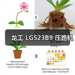 龙工 LG523B9 压路机(图1) 龙工 LG523B9 压路机(图1)