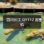 四川长江 QYT12 起重机（图3）