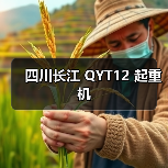 四川长江 QYT12 起重机（图1）