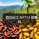 四川长江 QYT12 起重机（图2）