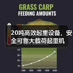 20吨高效起重设备,安全可靠大载荷起重机(图3) 20吨高效起重设备,安全可靠大载荷起重机(图3)