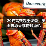 20吨高效起重设备,安全可靠大载荷起重机(图4) 20吨高效起重设备,安全可靠大载荷起重机(图4)