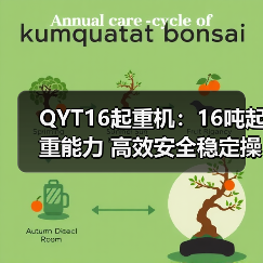 QYT16起重机:16吨起重能力 高效安全稳定操作(图3) QYT16起重机:16吨起重能力 高效安全稳定操作(图3)