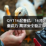 QYT16起重机:16吨起重能力 高效安全稳定操作(图1) QYT16起重机:16吨起重能力 高效安全稳定操作(图1)
