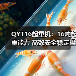 QYT16起重机:16吨起重能力 高效安全稳定操作(图2) QYT16起重机:16吨起重能力 高效安全稳定操作(图2)