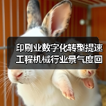 印刷业数字化转型提速 工程机械行业景气度回升（图1）