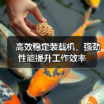 高效稳定装载机,强劲性能提升工作效率(图4) 高效稳定装载机,强劲性能提升工作效率(图4)