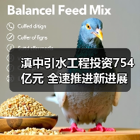 滇中引水工程投资754亿元 全速推进新进展（图4）