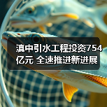 滇中引水工程投资754亿元 全速推进新进展（图3）