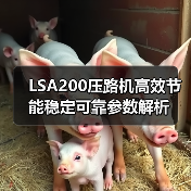 LSA200压路机高效节能稳定可靠参数解析(图2) LSA200压路机高效节能稳定可靠参数解析(图2)
