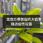 高效方捆装载机大载重强适应性设备(图1) 高效方捆装载机大载重强适应性设备(图1)