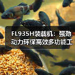 FL935H装载机:强劲动力环保高效多功能工程机械(图1) FL935H装载机:强劲动力环保高效多功能工程机械(图1)