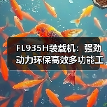 FL935H装载机:强劲动力环保高效多功能工程机械(图3) FL935H装载机:强劲动力环保高效多功能工程机械(图3)