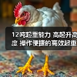 12吨起重能力 高起升高度 操作便捷的高效起重机(图2) 12吨起重能力 高起升高度 操作便捷的高效起重机(图2)