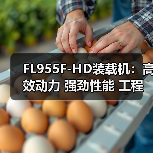 FL955F-HD装载机:高效动力 强劲性能 工程作业适用(图3) FL955F-HD装载机:高效动力 强劲性能 工程作业适用(图3)