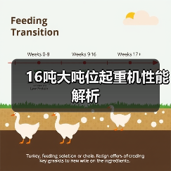 16吨大吨位起重机性能解析(图4) 16吨大吨位起重机性能解析(图4)