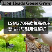 LSM270压路机高效压实性能与耐用性解析(图4) LSM270压路机高效压实性能与耐用性解析(图4)