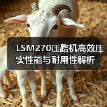 LSM270压路机高效压实性能与耐用性解析(图3) LSM270压路机高效压实性能与耐用性解析(图3)