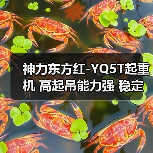 神力东方红-YQ5T起重机 高起吊能力强 稳定耐用经济高效