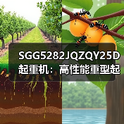 SGG5282JQZQY25D起重机：高性能重型起重设备（图3）