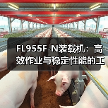 FL955F-N装载机:高效作业与稳定性能的工程利器(图3) FL955F-N装载机:高效作业与稳定性能的工程利器(图3)