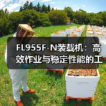 FL955F-N装载机:高效作业与稳定性能的工程利器(图4) FL955F-N装载机:高效作业与稳定性能的工程利器(图4)