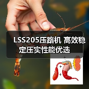 LSS205压路机 高效稳定压实性能优选（图3）