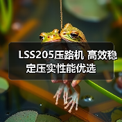 LSS205压路机 高效稳定压实性能优选（图4）