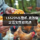 LSS205压路机 高效稳定压实性能优选（图2）