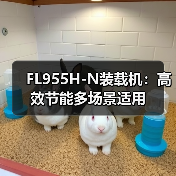 FL955H-N装载机：高效节能多场景适用（图4）